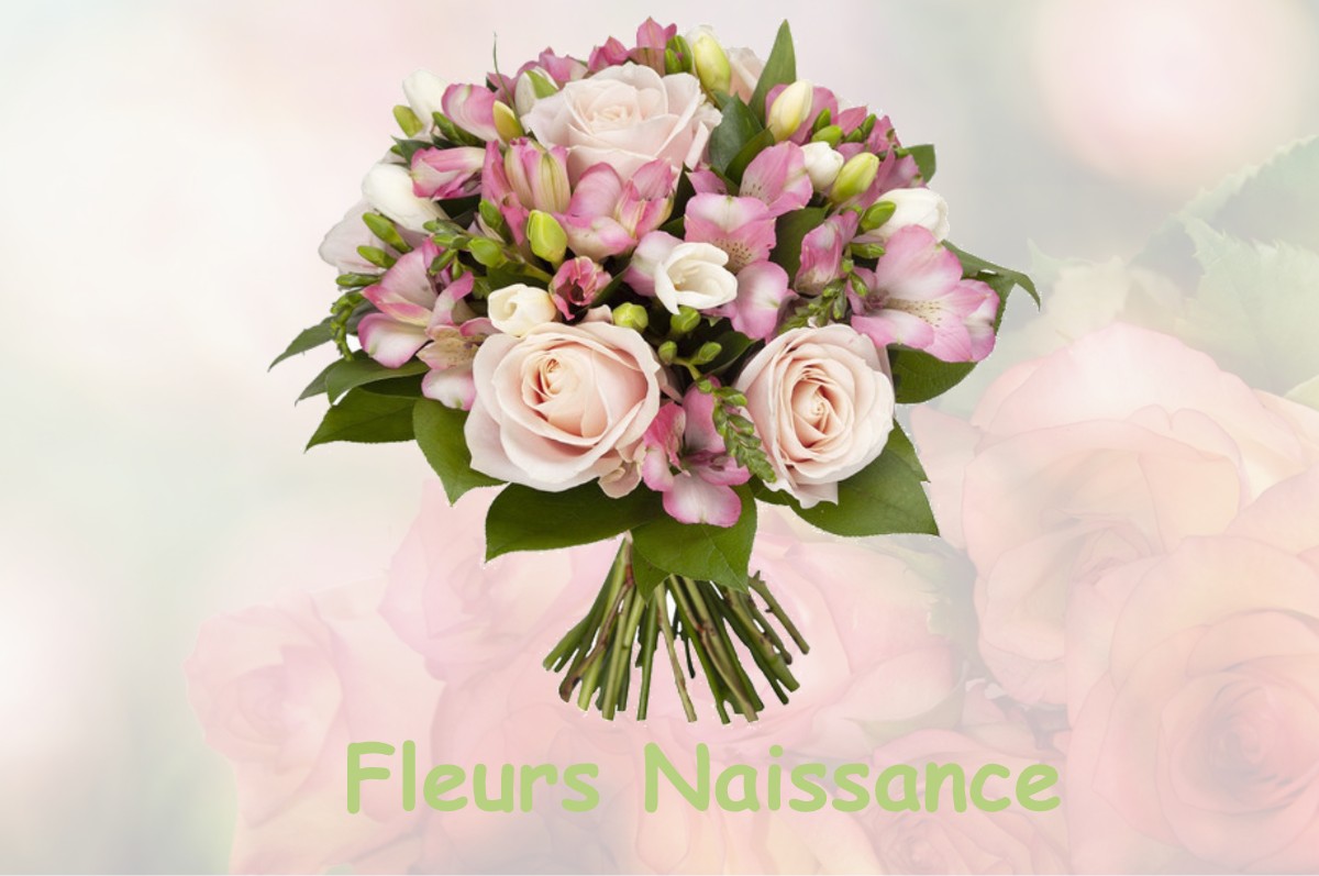 fleurs naissance SAINT-JUST-DE-CLAIX