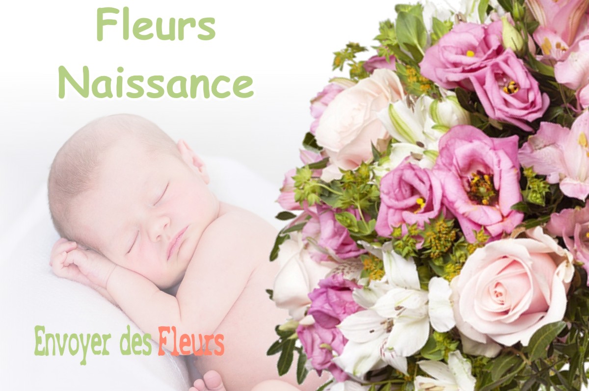 lIVRAISON FLEURS NAISSANCE à SAINT-JUST-DE-CLAIX